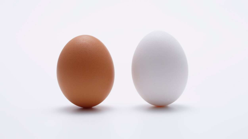 Diferencia entre huevos marrones y blancos