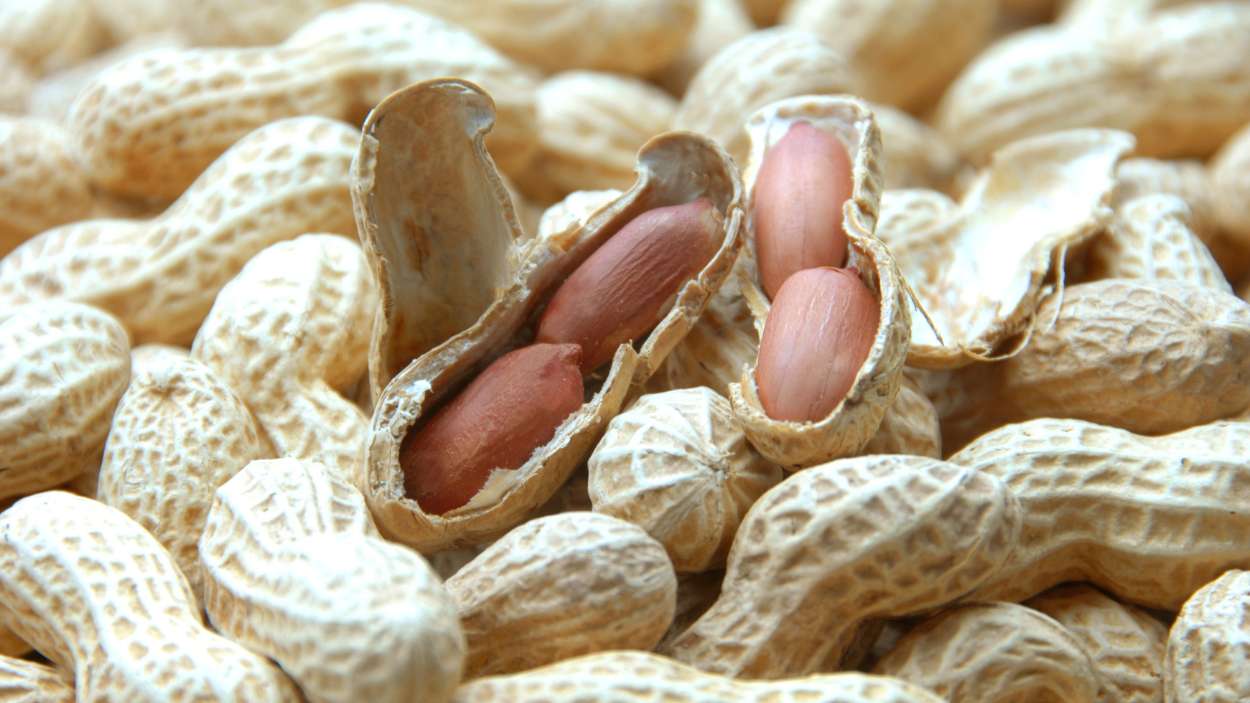 El alimento que podría ayudar a tu memoria según una nueva investigación