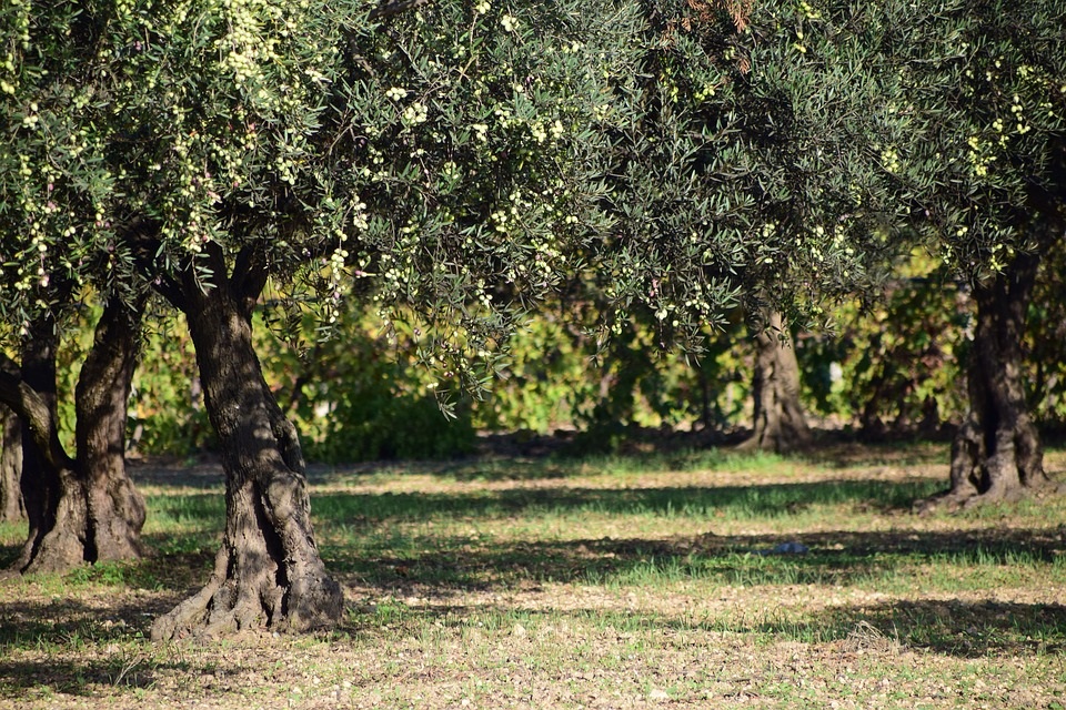 El paro ha subido en Andalucía