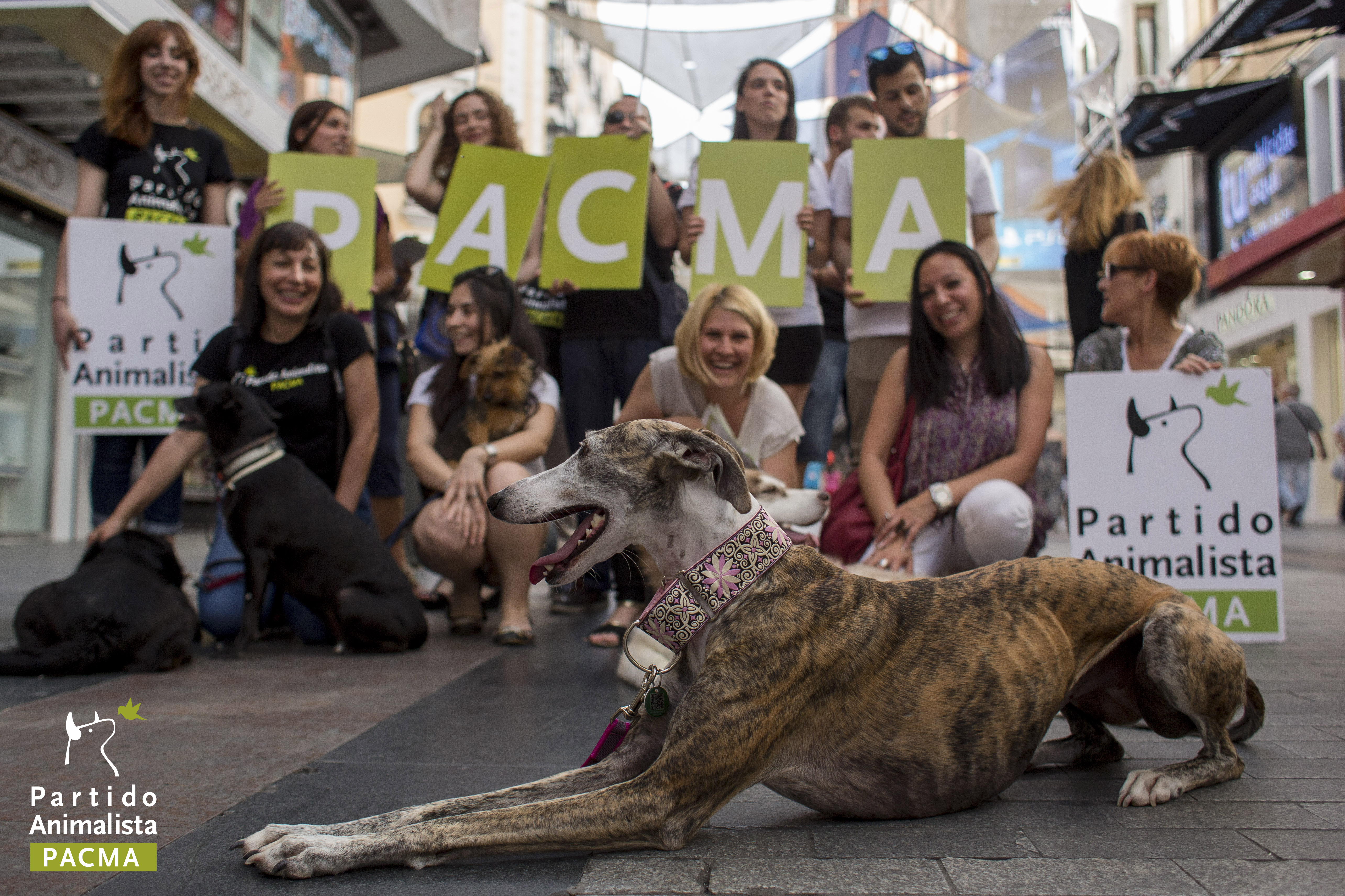 Imagen de la campaña electoral del PACMA para el 26J