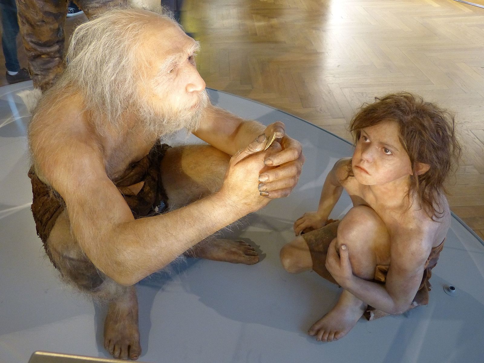 Descubre el neandertal que hay en ti