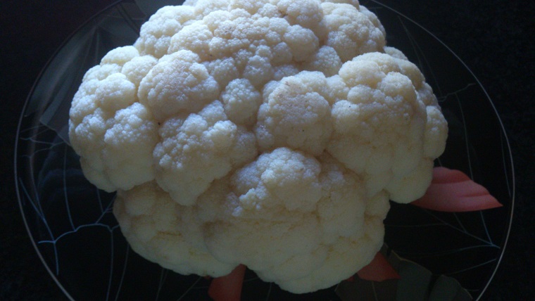 Coliflor y  brócoli en láminas con refrito y queso rallado y nido de puré de patatas con carne picada