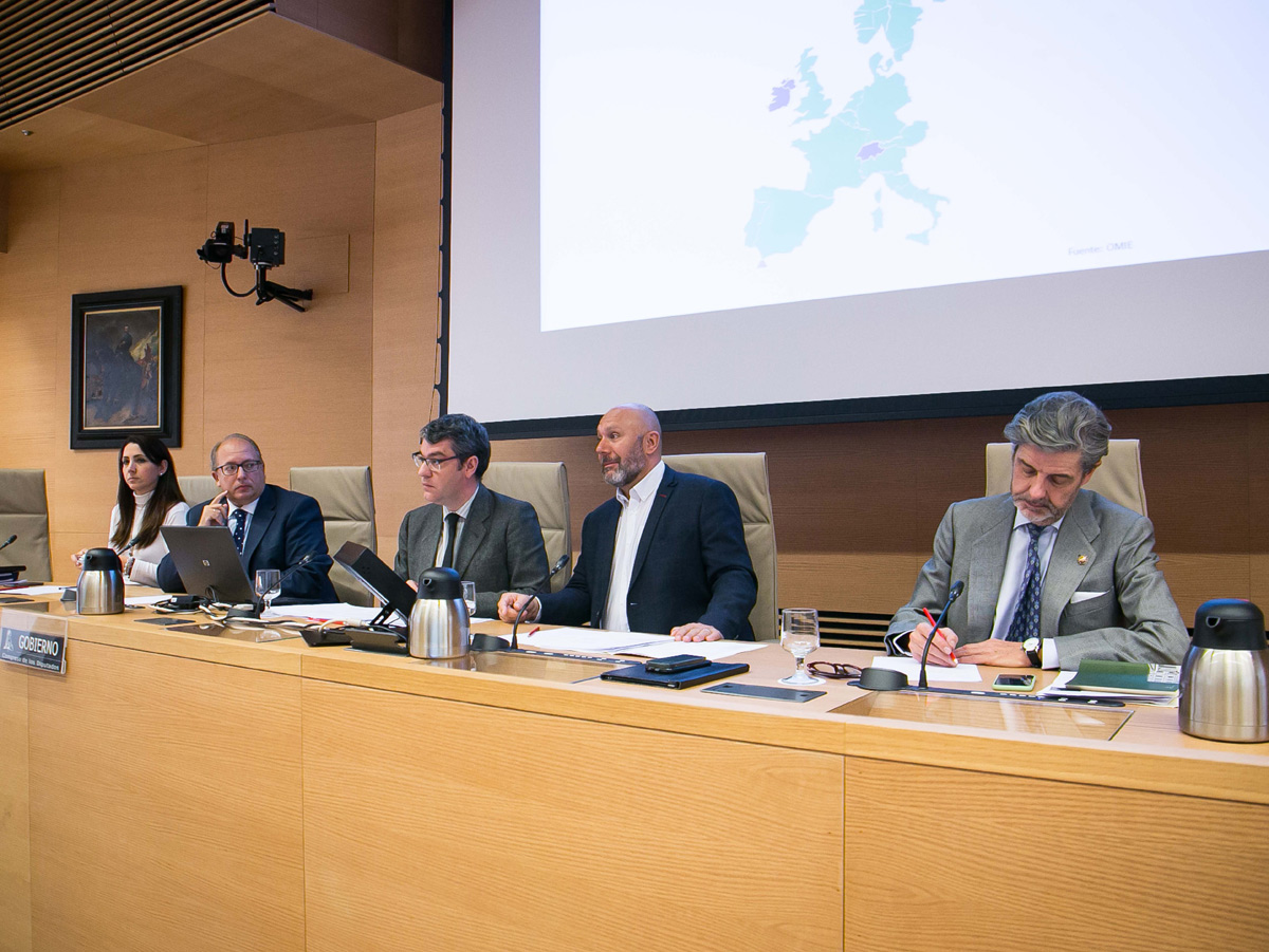 El ministro Álvaro Nadal en la Comisión de Energía del Congreso de los Diputados