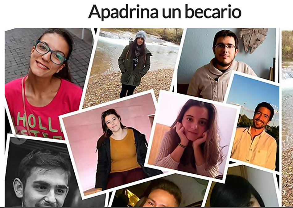 Página web puesta en marcha para ayudar a este grupo de estudiantes universitarios. 