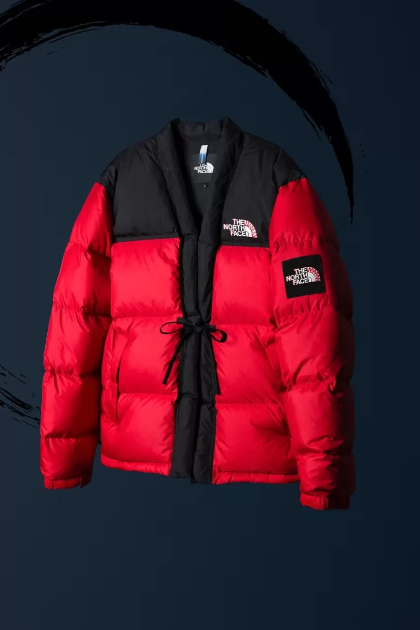 the north face-3-291225.webp