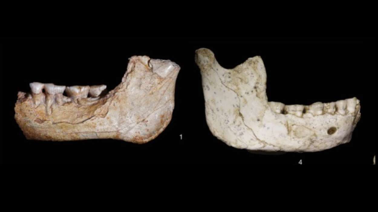Hallan en Marruecos restos de homínidos de hace 770.000 años que revelan un linaje africano anterior al Homo sapiens