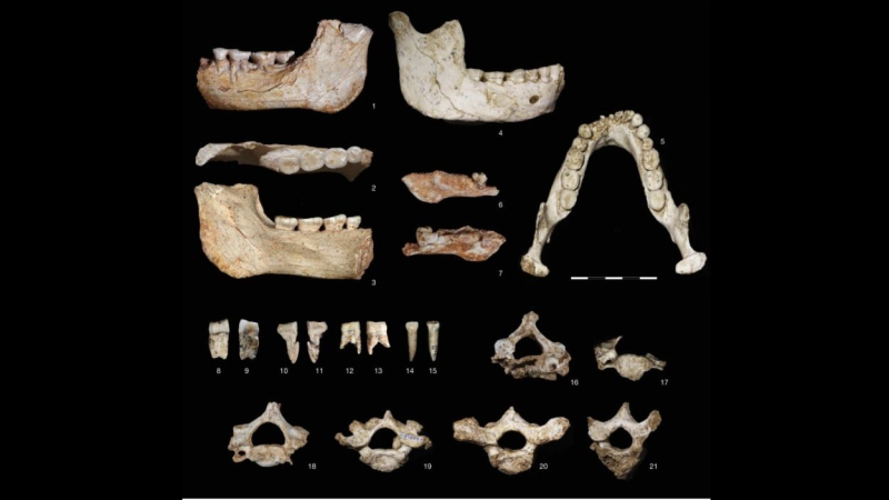 Restos de hominidos hallados en Marruecos. EP