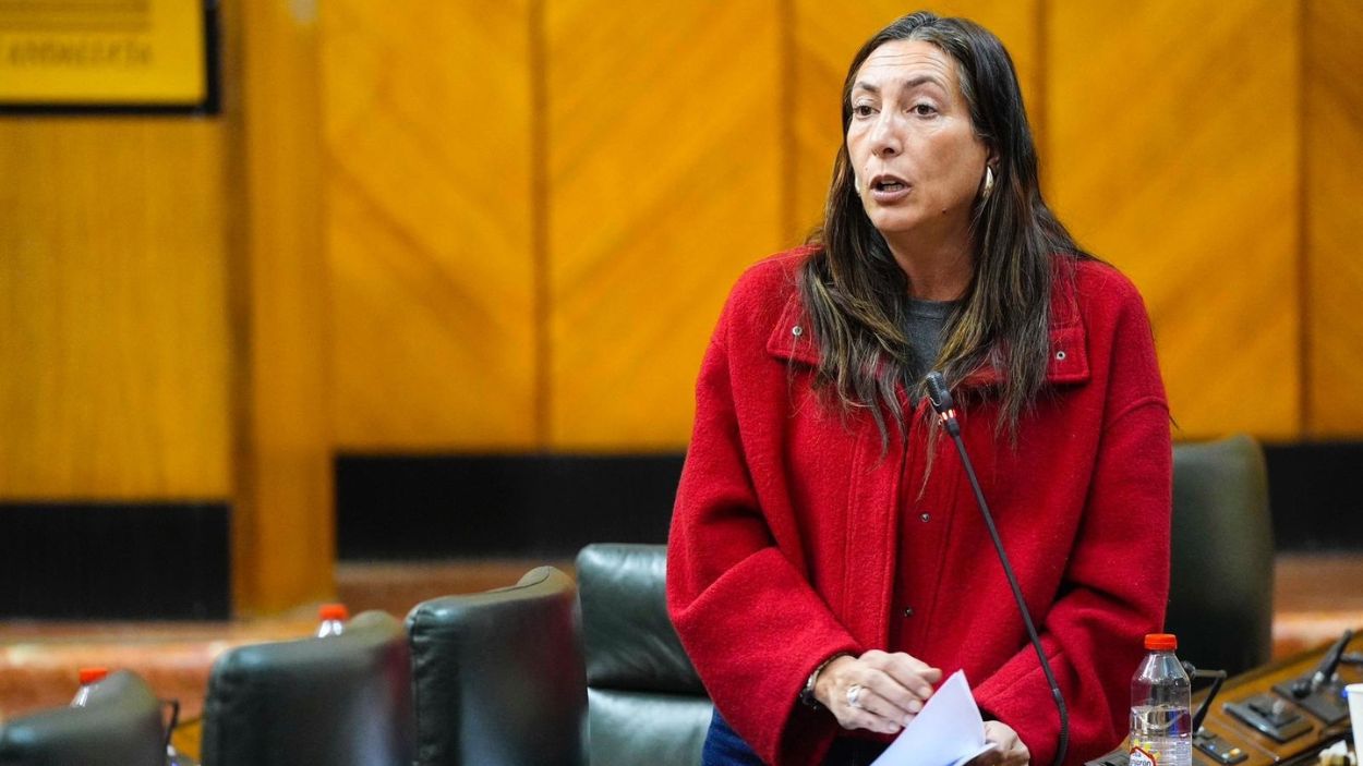 Consejera Inclusión Social, Juventud, Familias e Igualdad de la Junta de Andalucía, Loles López / EP