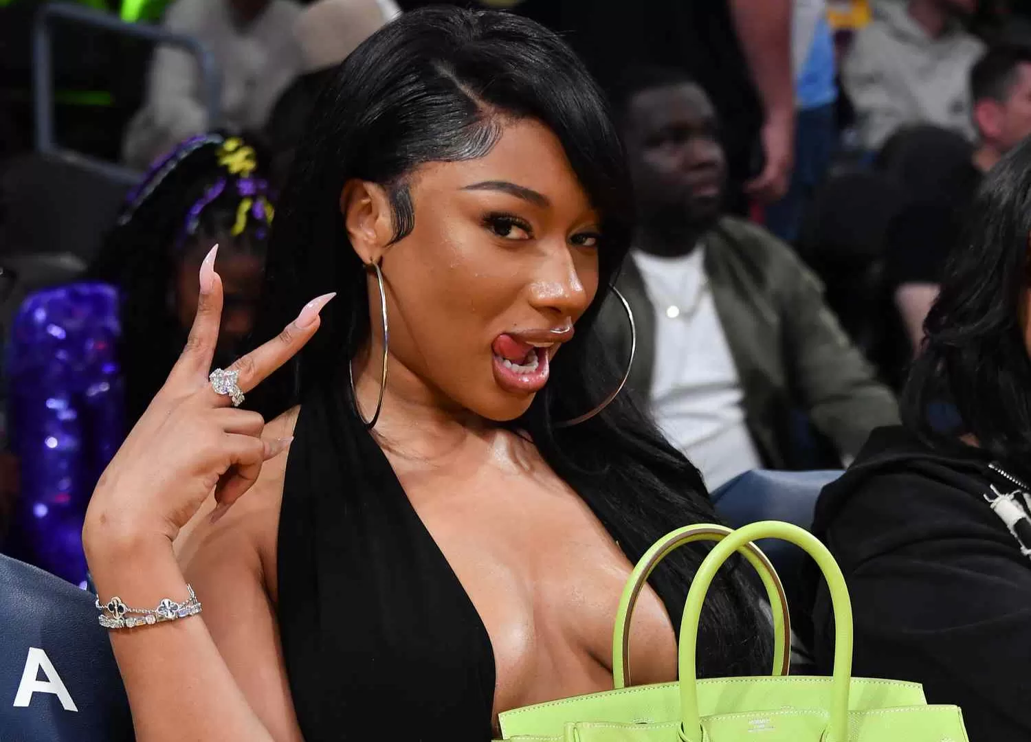 Megan Thee Stallion-5-301225.webp