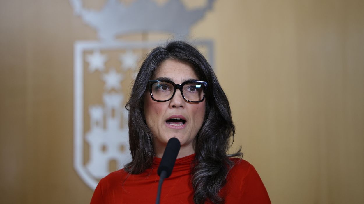 La portavoz de Más Madrid en la Asamblea de Madrid, Manuela Bergerot. EP.