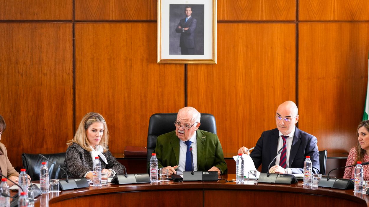 Sesión de la Diputación Permanente del 12 de enero / Parlamento de Andalucía