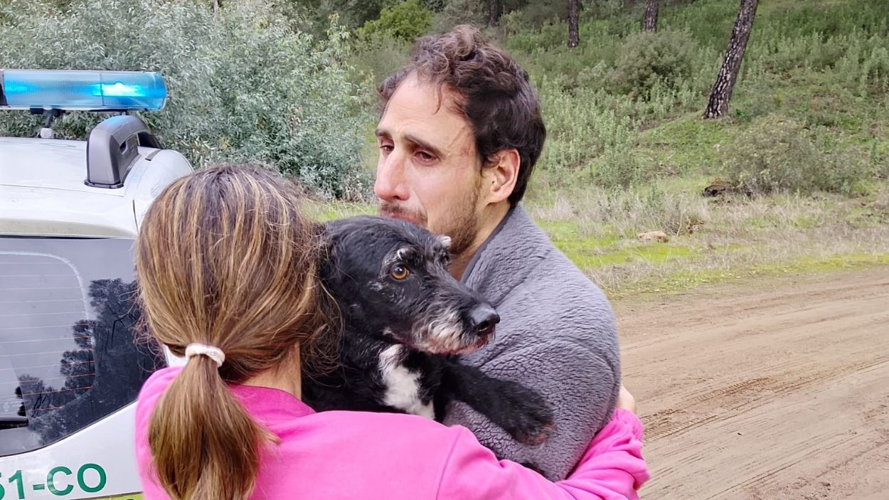 Capturan a Boro, el perro extraviado tras el accidente de Adamuz (Córdoba) / EP