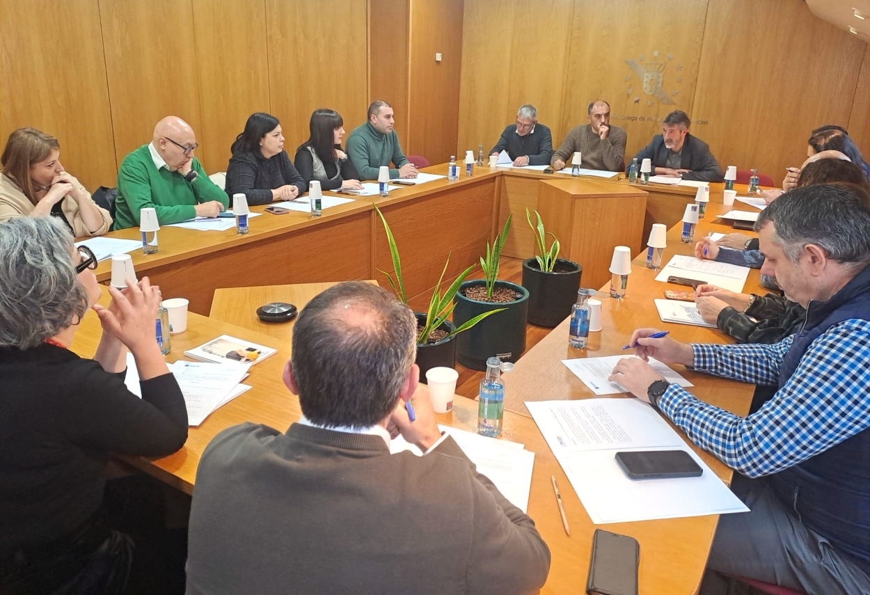 Imagen de la reunión de la comisión ejecutiva de la Federación Galega de Municipios e Provincias que dio luz verde al acuerdo (Foto: FEGAMP).