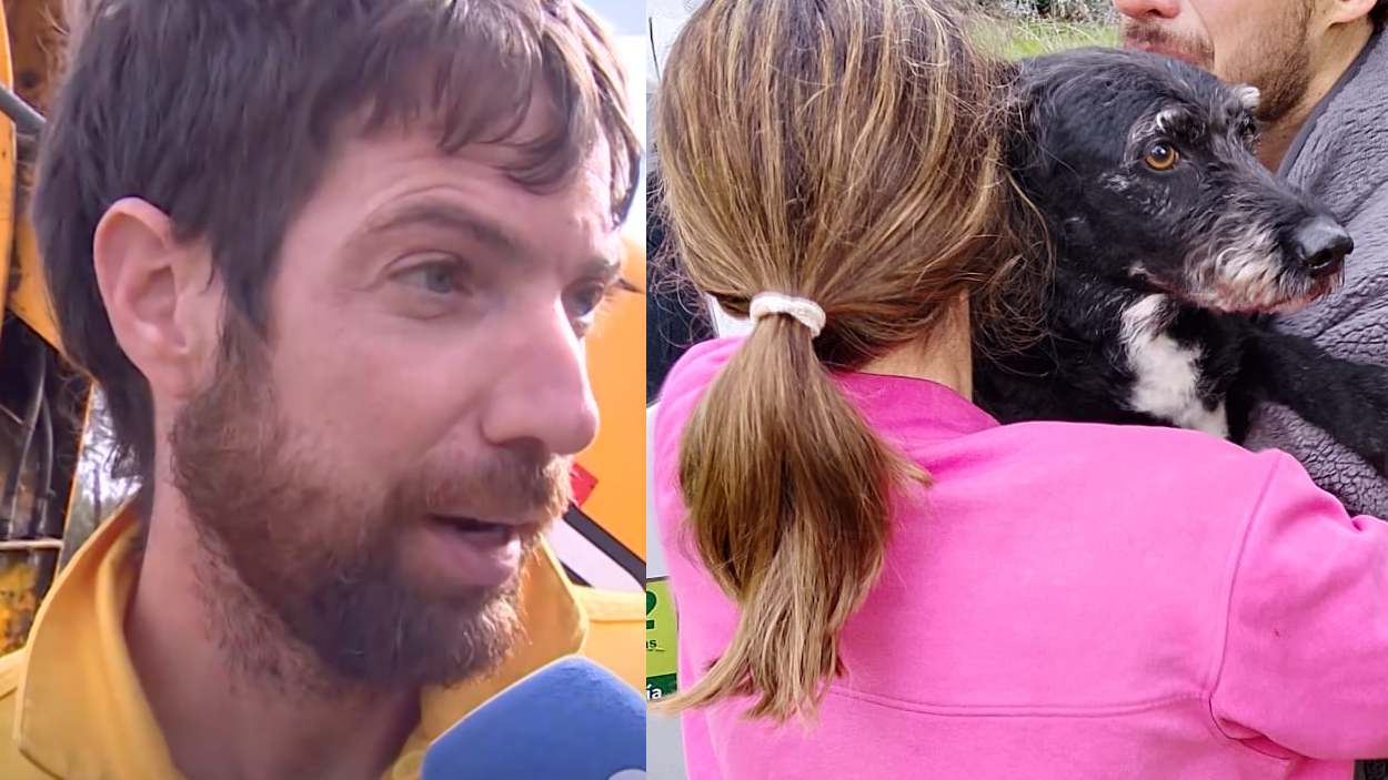 Rubén Flores, el bombero forestal que rescató a Boro en Adamuz (TVE/INFOCA)