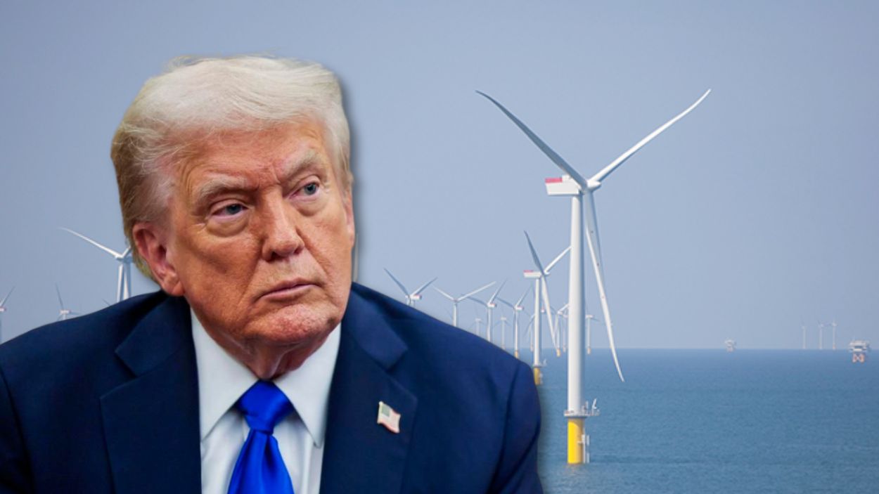 Donald Trump ha paralizado distintos proyectos de energías renovables en Estados Unidos
