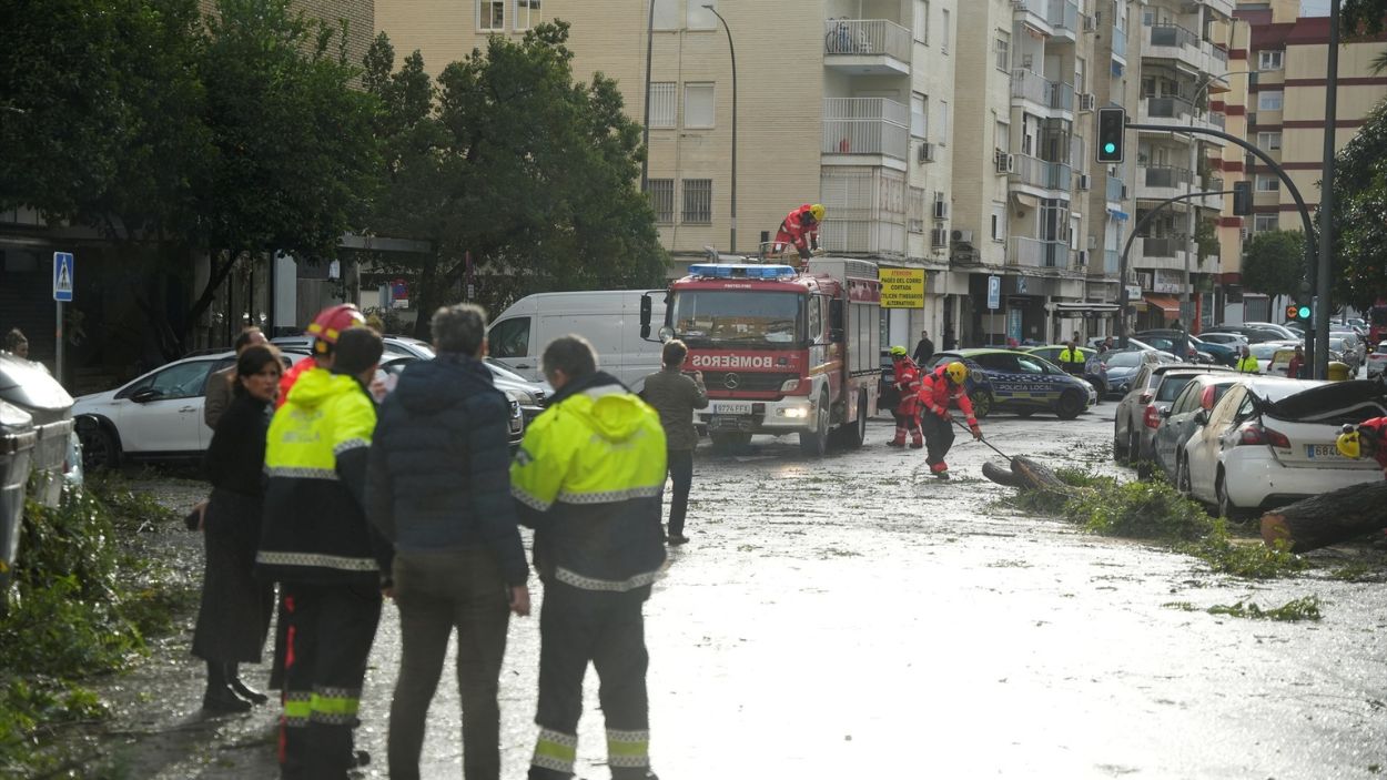 Bomberos de Sevilla trabajan en la retirada de un árbol de grandes dimensiones / EP