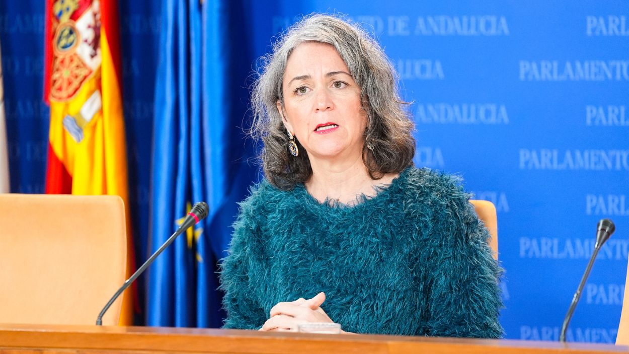 Begoña Iza, portavoz adjunta del Grupo Mixto - Adelante Andalucía en rueda de prensa / EP