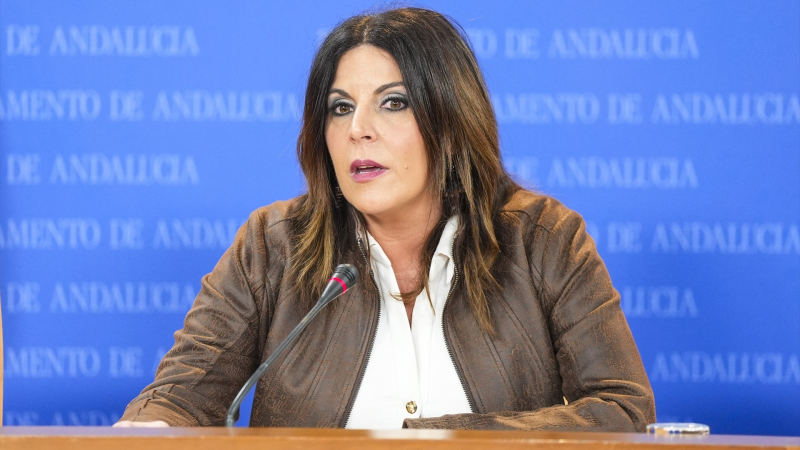 Portavoz adjunta del PSOE-A, Ángeles Férriz / EP Portavoz adjunta del PSOE-A, Ángeles Férriz / EP