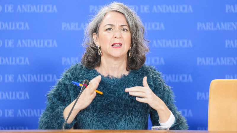 Portavoz adjunta de Adelante Andalucía, Begoña Iza / EP Portavoz adjunta de Adelante Andalucía, Begoña Iza / EP