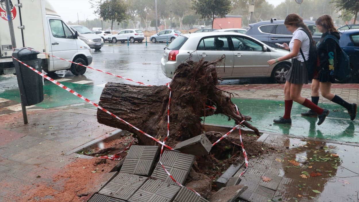 Imagen de archivo octubre de 2023 con las consecuencias de la borrasca Aline / EP