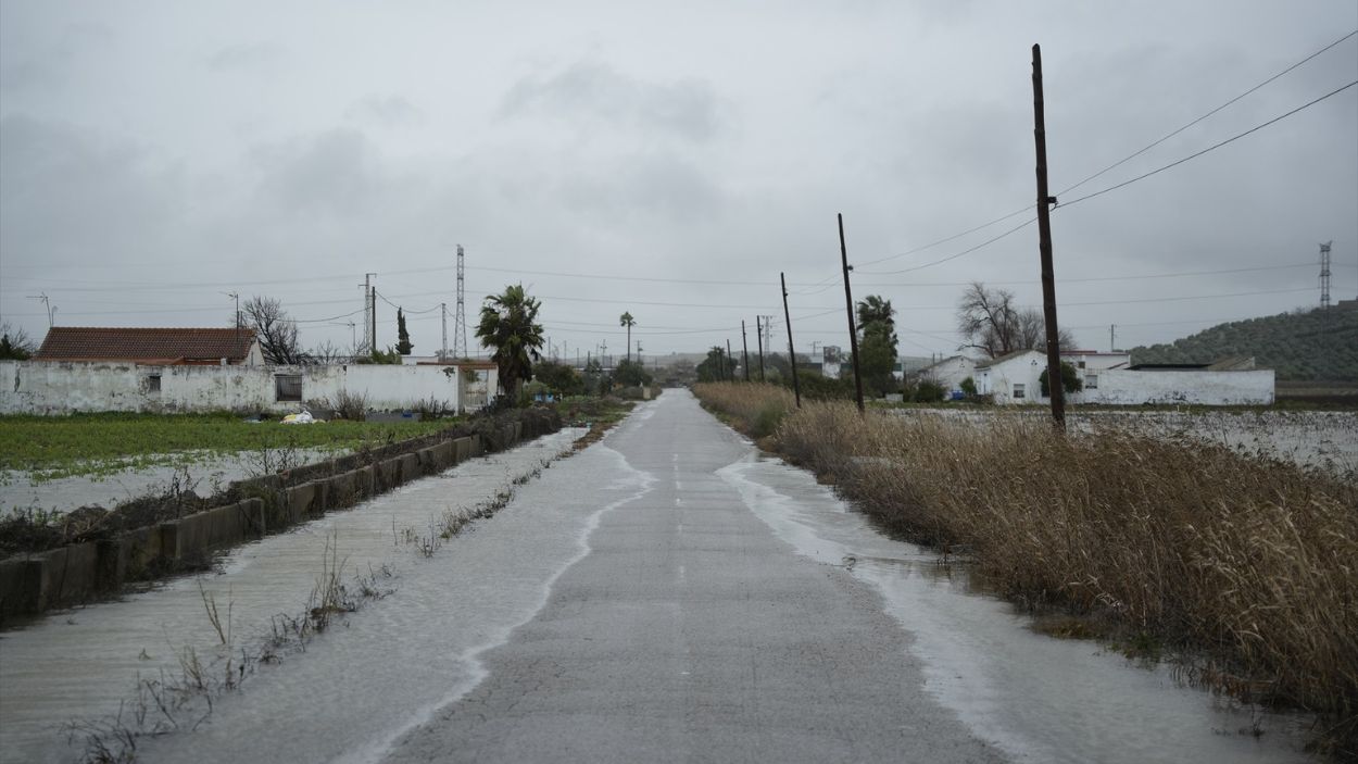 Embalsamiento de la carretera de acceso a la localidad sevillana del Palmar de Troya provocado por la borrasca Leonardo / EP