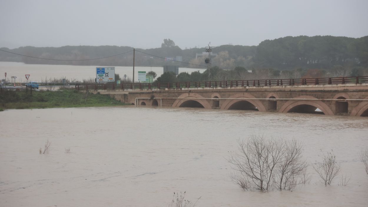 Río Guadalete, Cádiz, en máximos históricos / EP