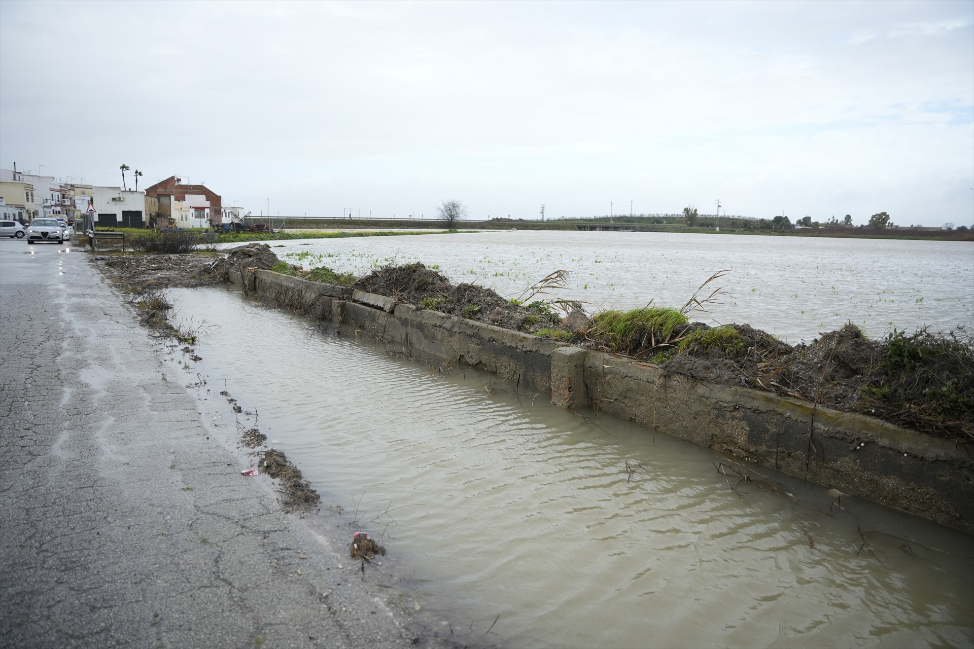 Embalsamiento de la carretera de acceso a la localidad sevillana del Palmar de Troya provocado por la borrasca Leonardo / EP