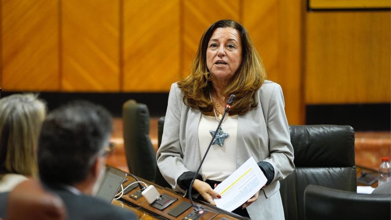Consejera de Desarrollo Educativo y Formación Profesional, María del Carmen Castillo, en el Parlamento de Andalucía / Archivo EP