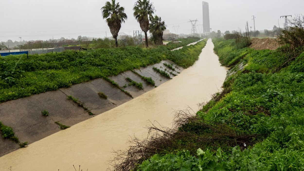 El río Guadalquivir desbordado por la zona de la Cartuja en Sevilla. EP.