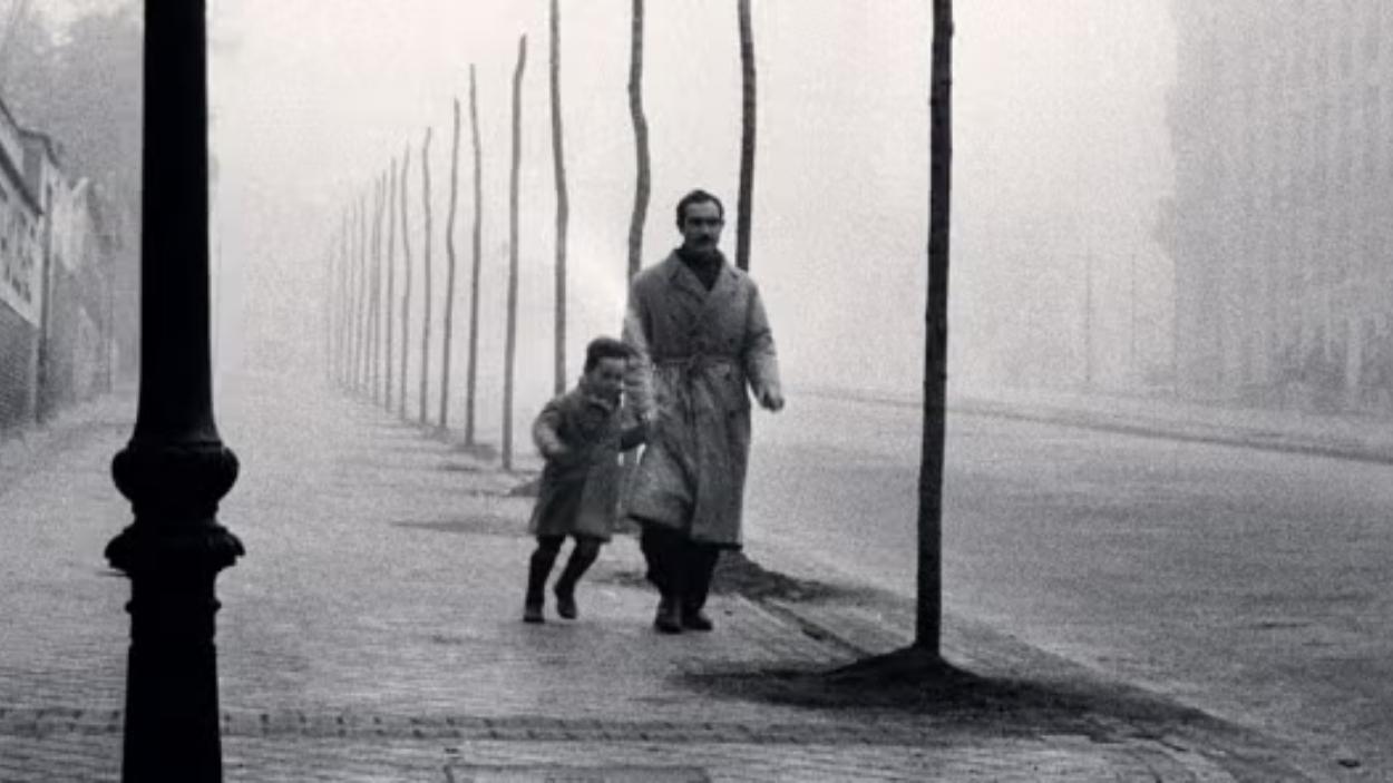 La sombra del viento. Carlos Ruiz Zafón.