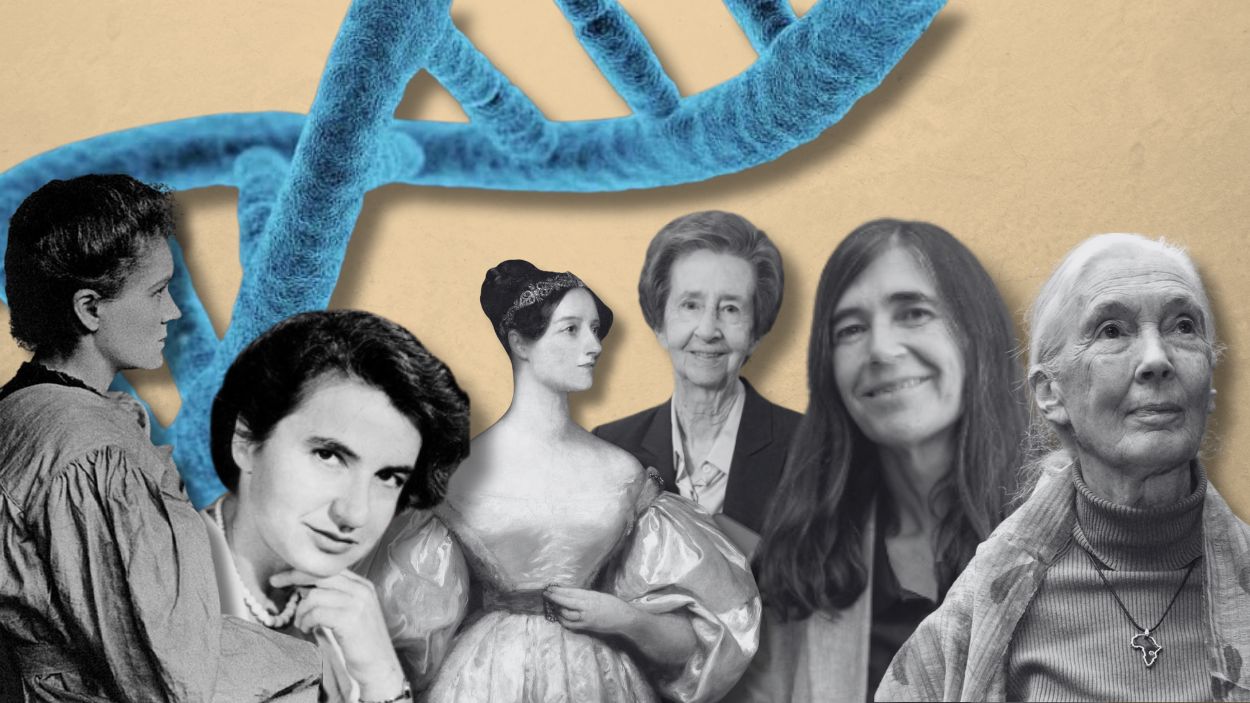 Fotomontaje con científicas clave de la historia. Elaboración propia.