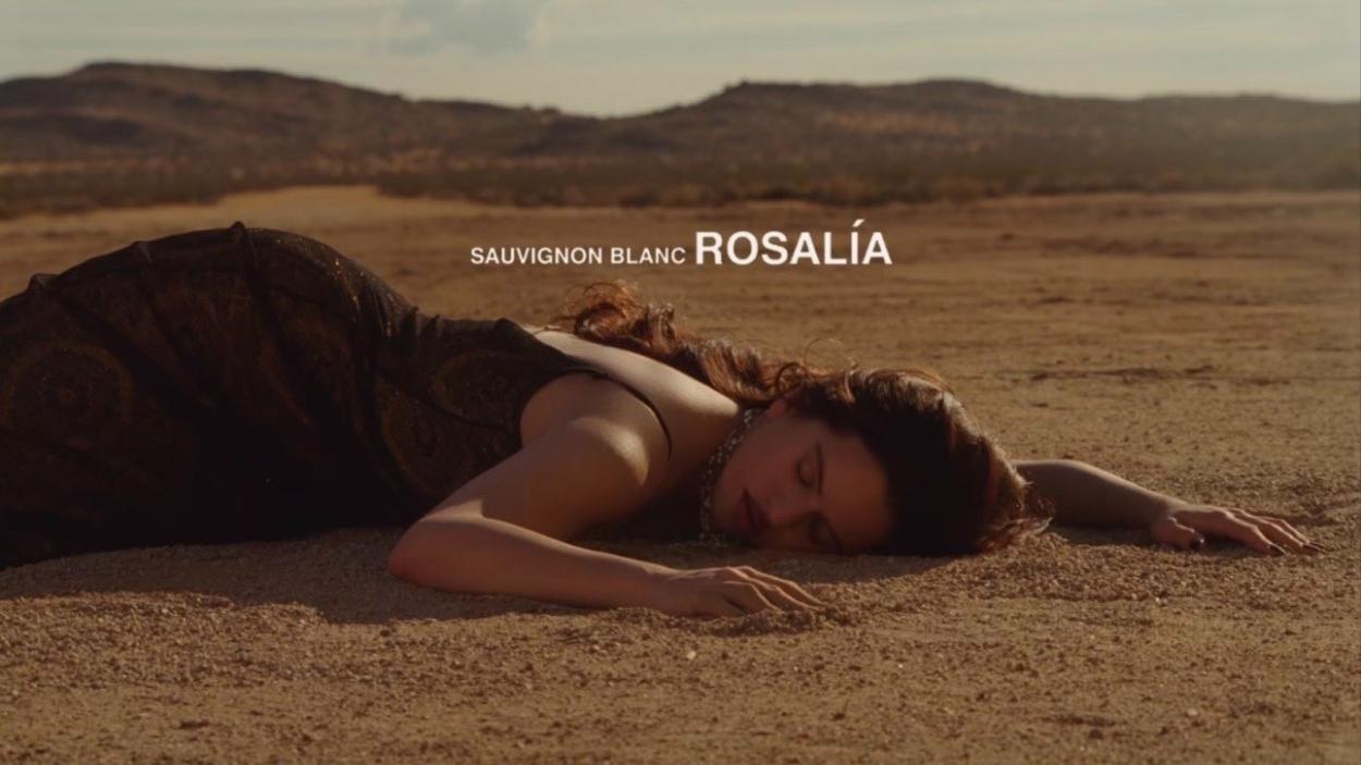 'Sauvignon Blanc'. Youtube.