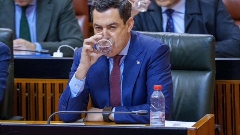 Presidente de la Junta de Andalucía, Moreno Bonilla / EP