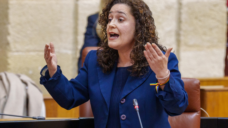 Portavoz de Por Andalucía, Inma Nieto / EP