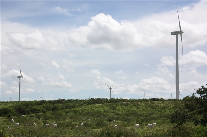 Parque eólico de Iberdrola en Calangos (Brasil)