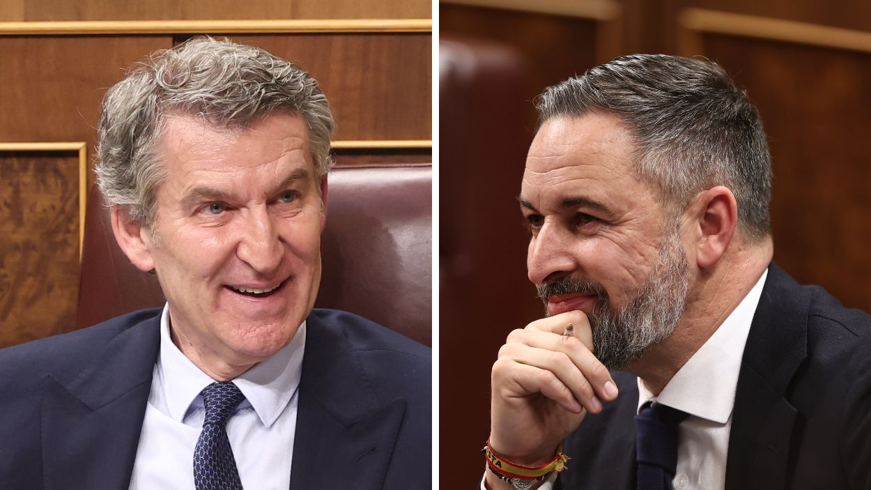 El presidente del PP, Alberto Núñez Feijóo, y el líder de Vox, Santiago Abascal. Elaboración propia.