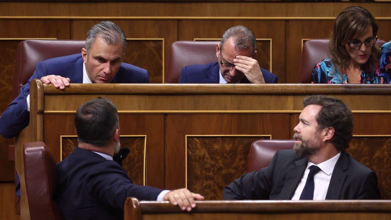 Santiago Abascal, Iván Espinosa de los Monteros y Javier Ortega Smith, de Vox, en el Congreso de los Diputados en una imagen de archivo. EP.