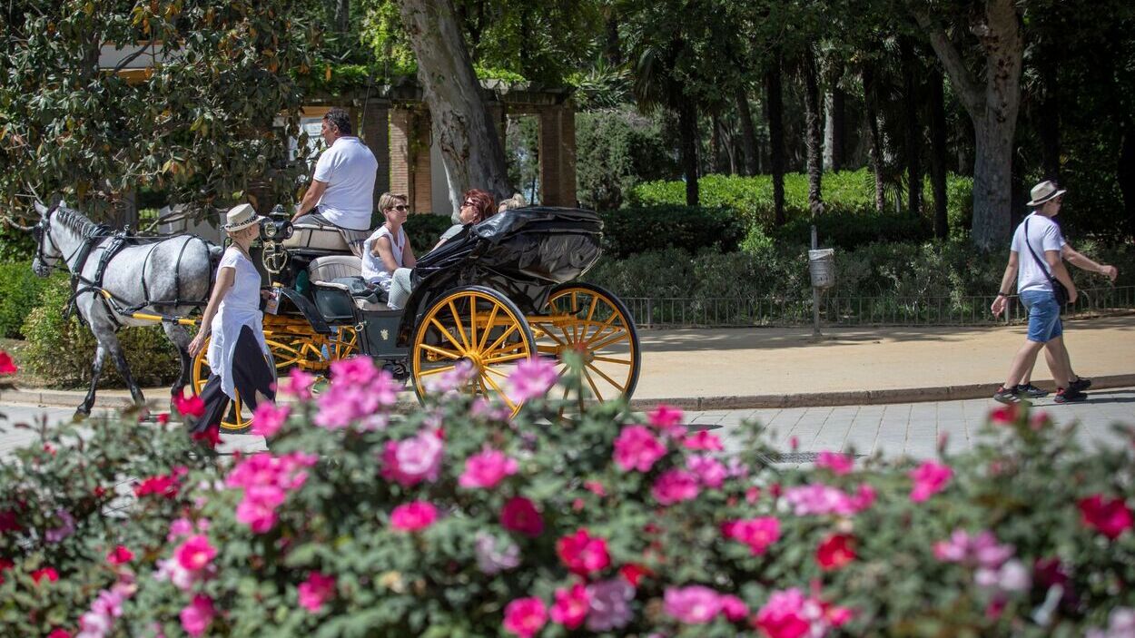 Turistas en el Parque María Luisa, Sevilla. EP.