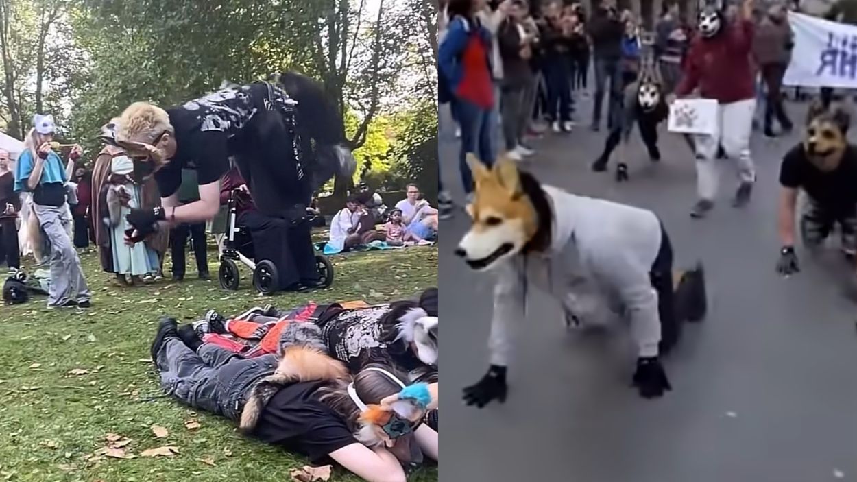 Montaje con fotogramas de vídeos subidos a redes sociales de therians. 