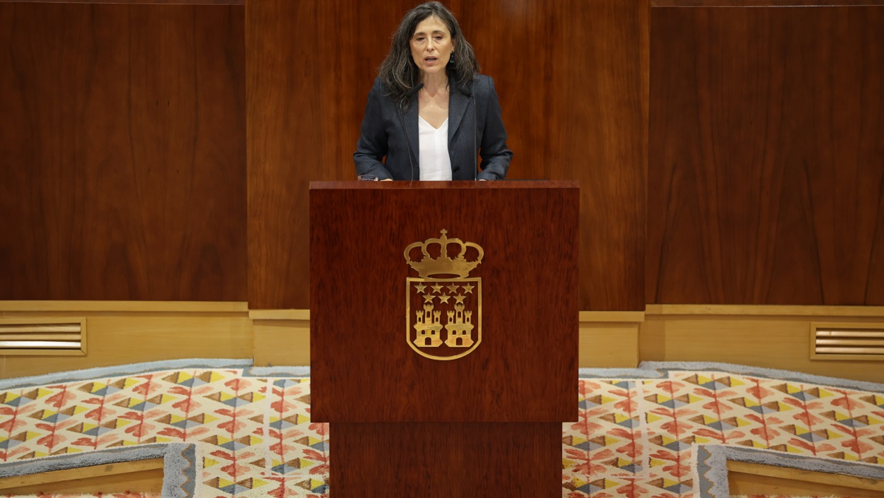 La diputada de Más Madrid en la Asamblea, Marta Lozano. EP