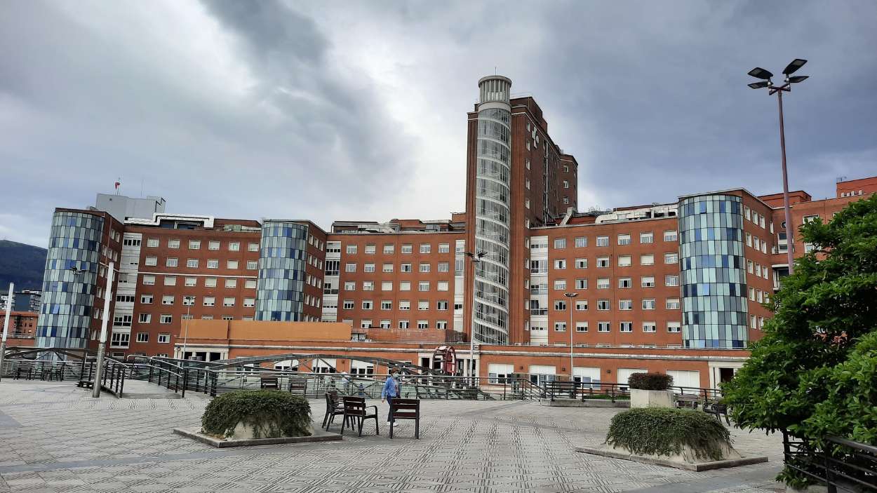 Hospital de Cruces, en Barakaldo (Vizcaya). EP