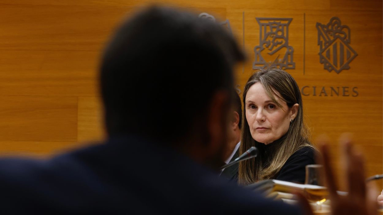 La presidenta de la Asociación de Víctimas Mortales de la DANA 29-O, Rosa Álvarez, en la comisión de investigación de la DANA en Les Corts. EP.