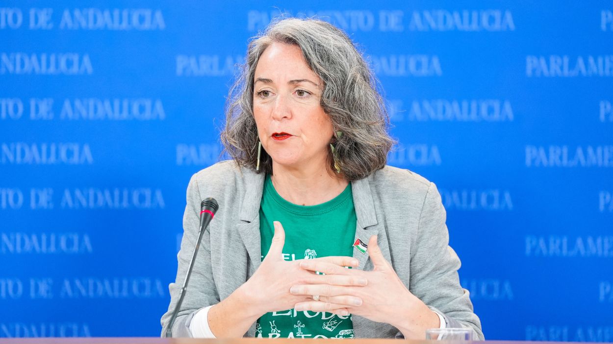 Portavoz adjunta del Grupo Mixto-Adelante Andalucía, Begoña Iza, en la rueda de prensa / EP