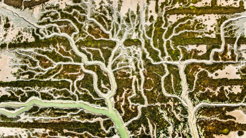 Vista aérea de Doñana / Héctor Garrido