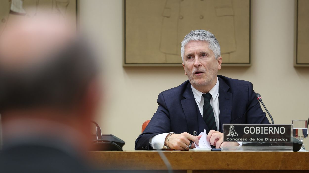 El ministro del Interior, Fernando Grande Marlaska, comparece ante la Comisión de Interior, en el Congreso de los Diputados. EP.