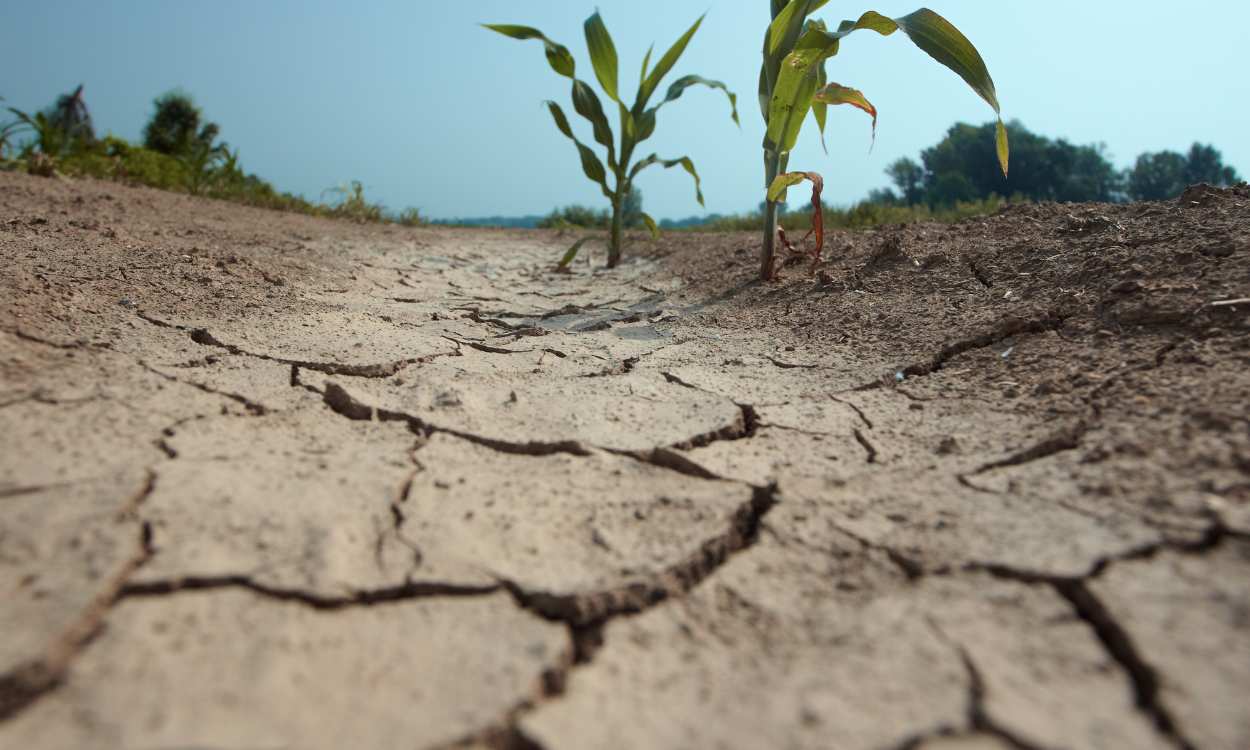 España ante el espejo climático: entre la preocupación y la adaptación insuficiente