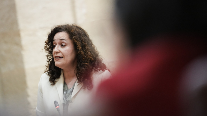 Portavoz de Por Andalucía, Inma Nieto / EP