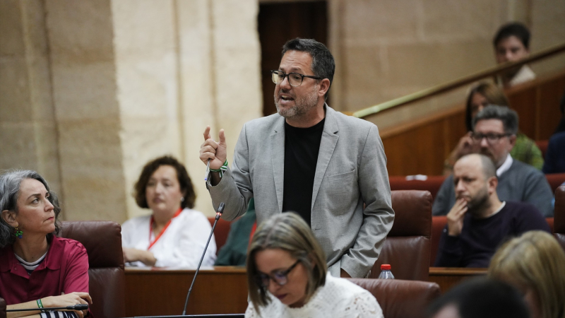 Portavoz de Adelante Andalucía, José Ignacio García / EP