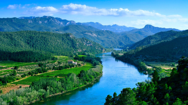 El curso del río Ebro a los pies de Miravet (Tarragona) El curso del río Ebro a los pies de Miravet (Tarragona)