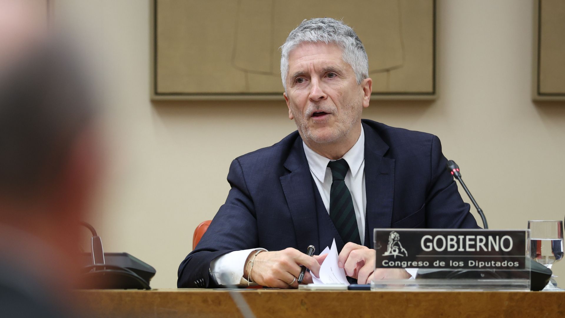 El ministro del Interior, Fernando Grande Marlaska. EP.